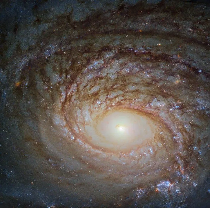 Example of a spiral galaxy, NGC 772