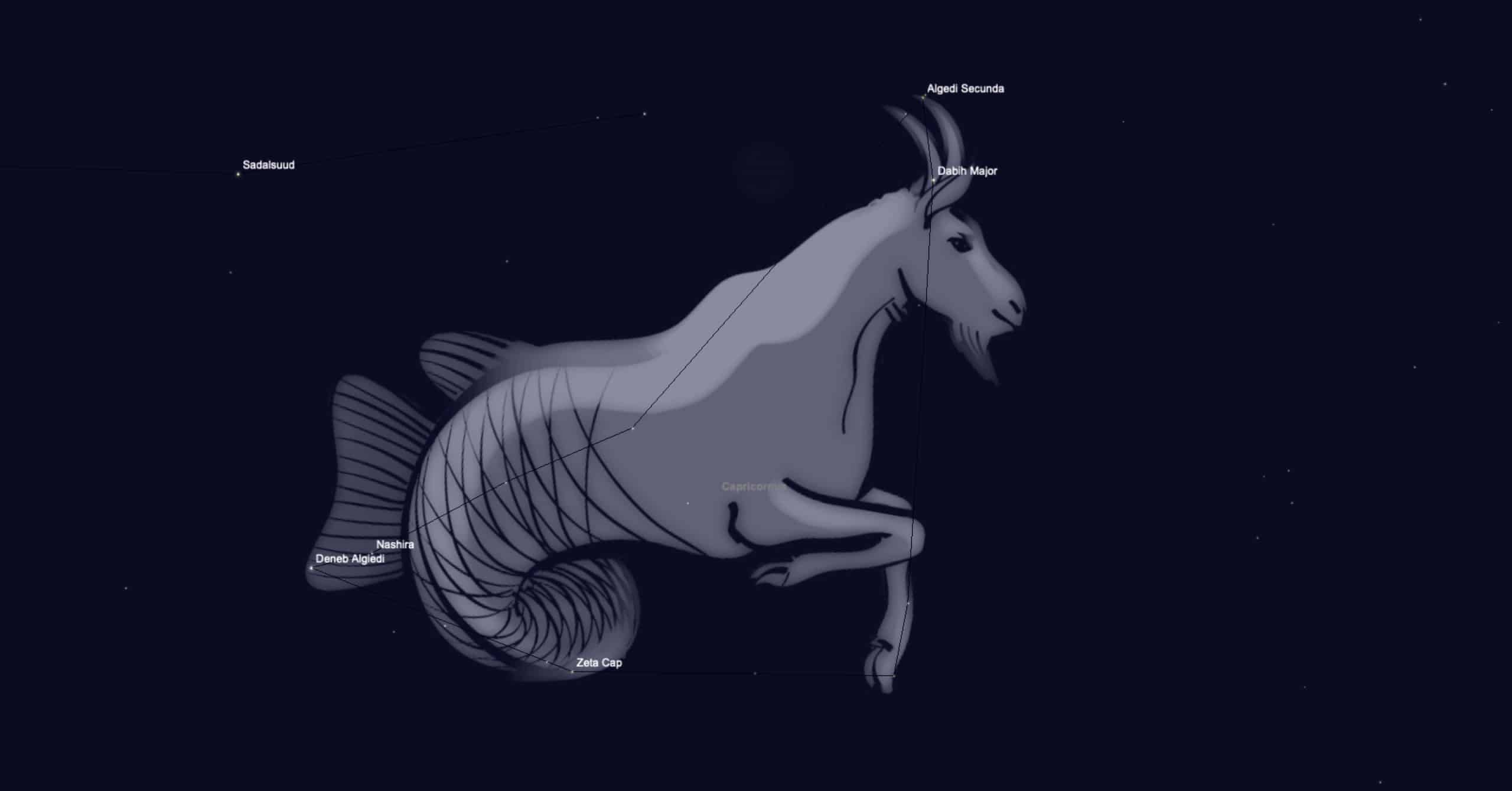 Image showing the goat-fish behind the constellation of Capricornus