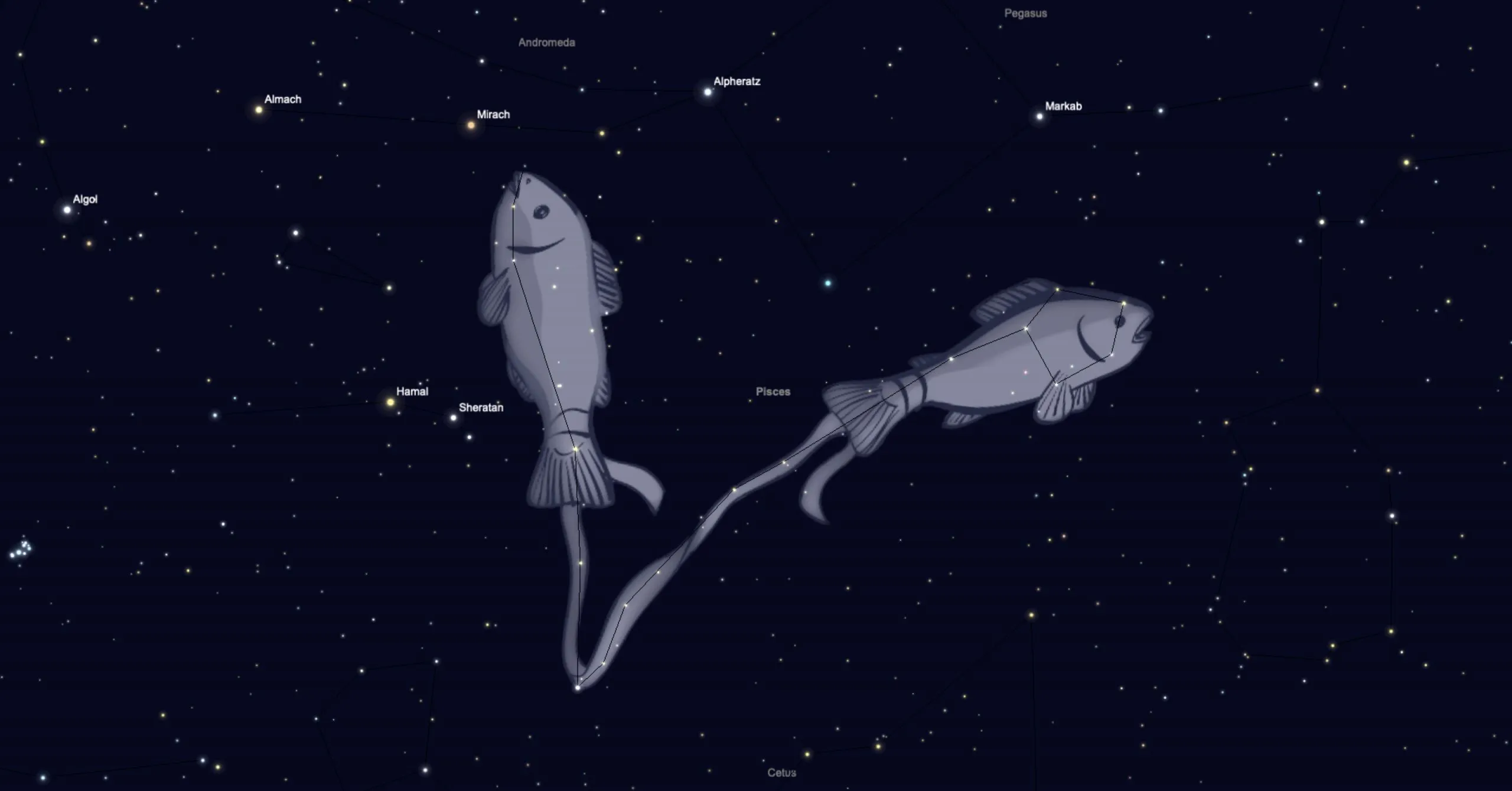 Showing the two fish which make up Pisces constellation