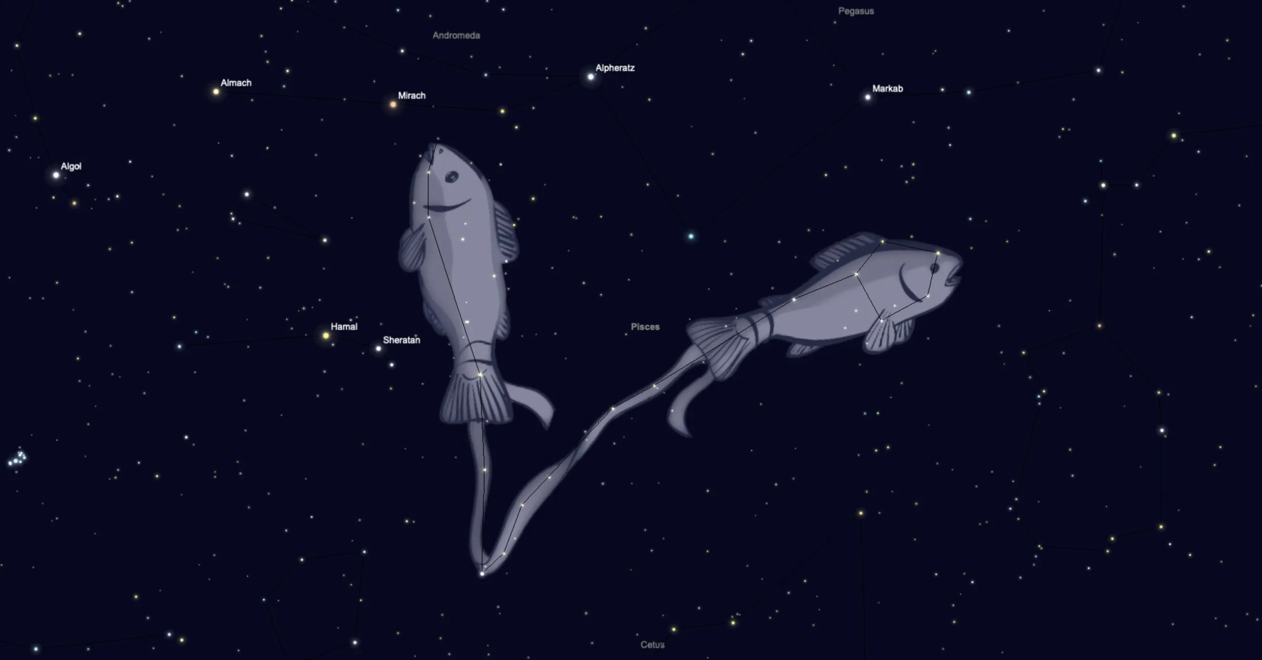 Pisces Constellation – A Guide to the Fishes in the Sky.