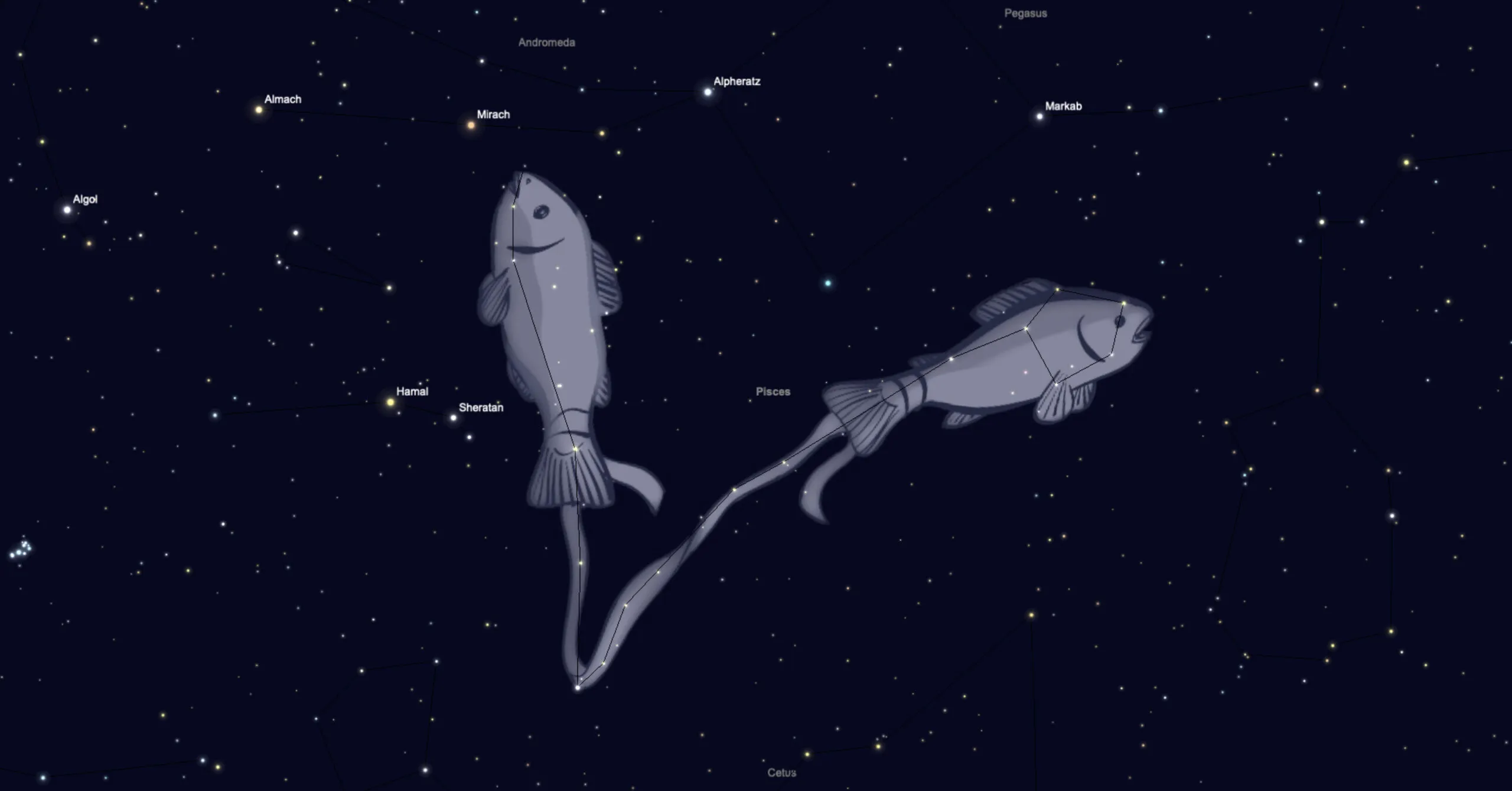 Pisces Constellation Guide For Backyard Astronomers