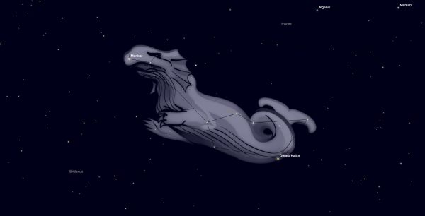 Cetus Constellation – See the Night Sky Whale