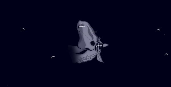 Equuleus Constellation – The Night’s Little Horse
